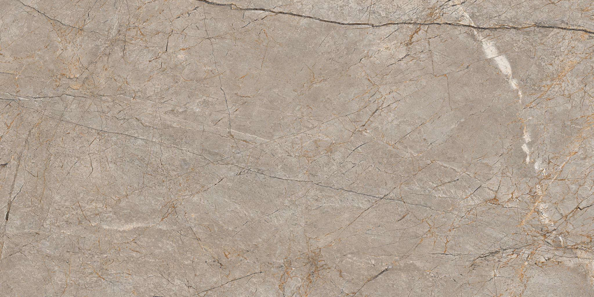 Глаз. керамогранит Futura тонкий Silver Roots серый ректификат 60x120